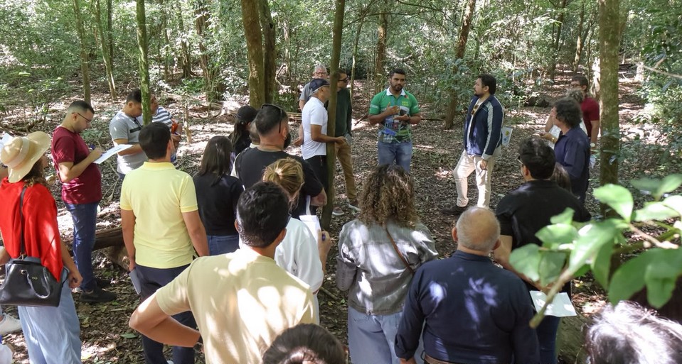 Areia Branca