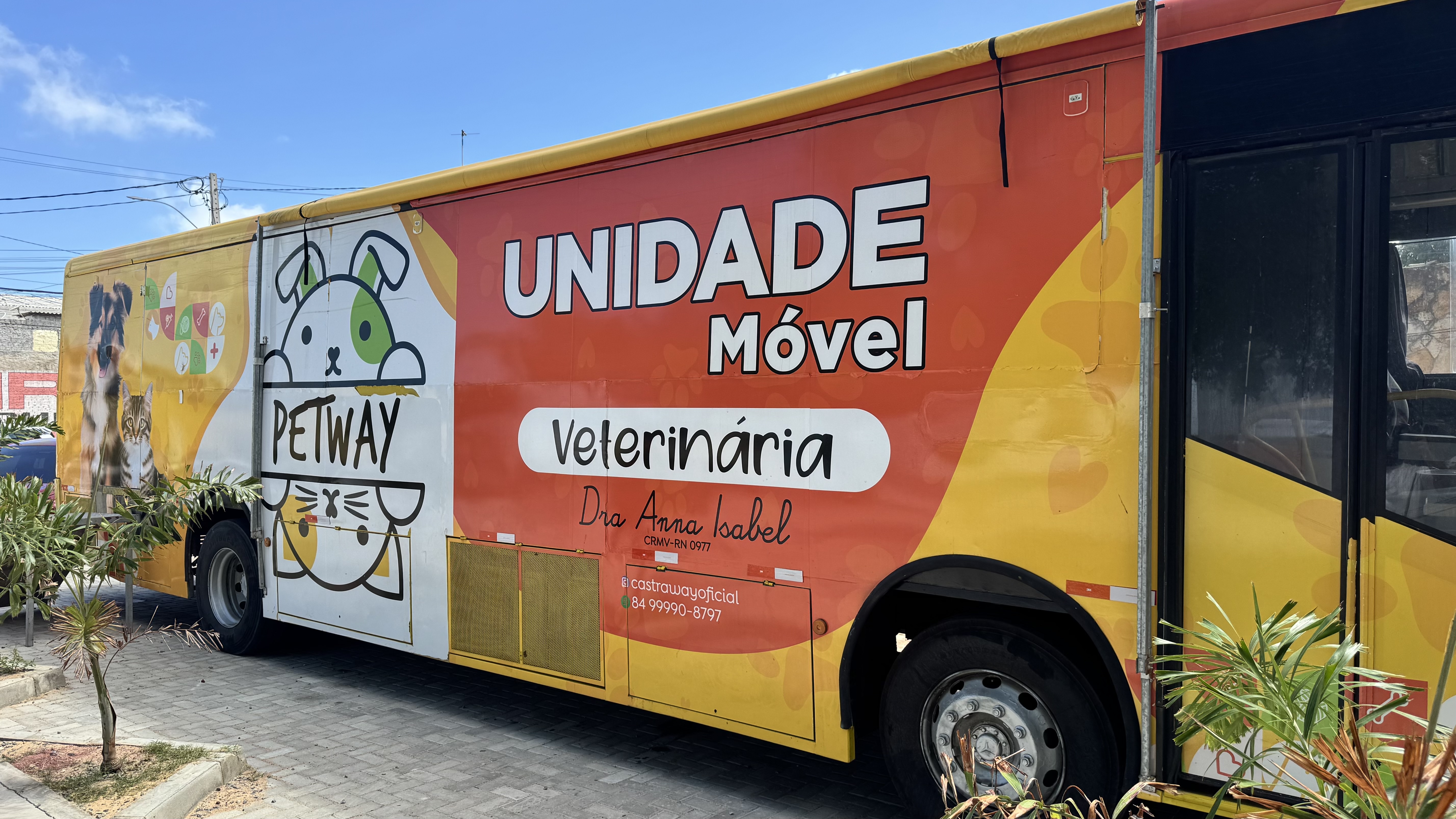 Unidade Móvel PetWay realiza castrações de animais de rua em Areia Branca