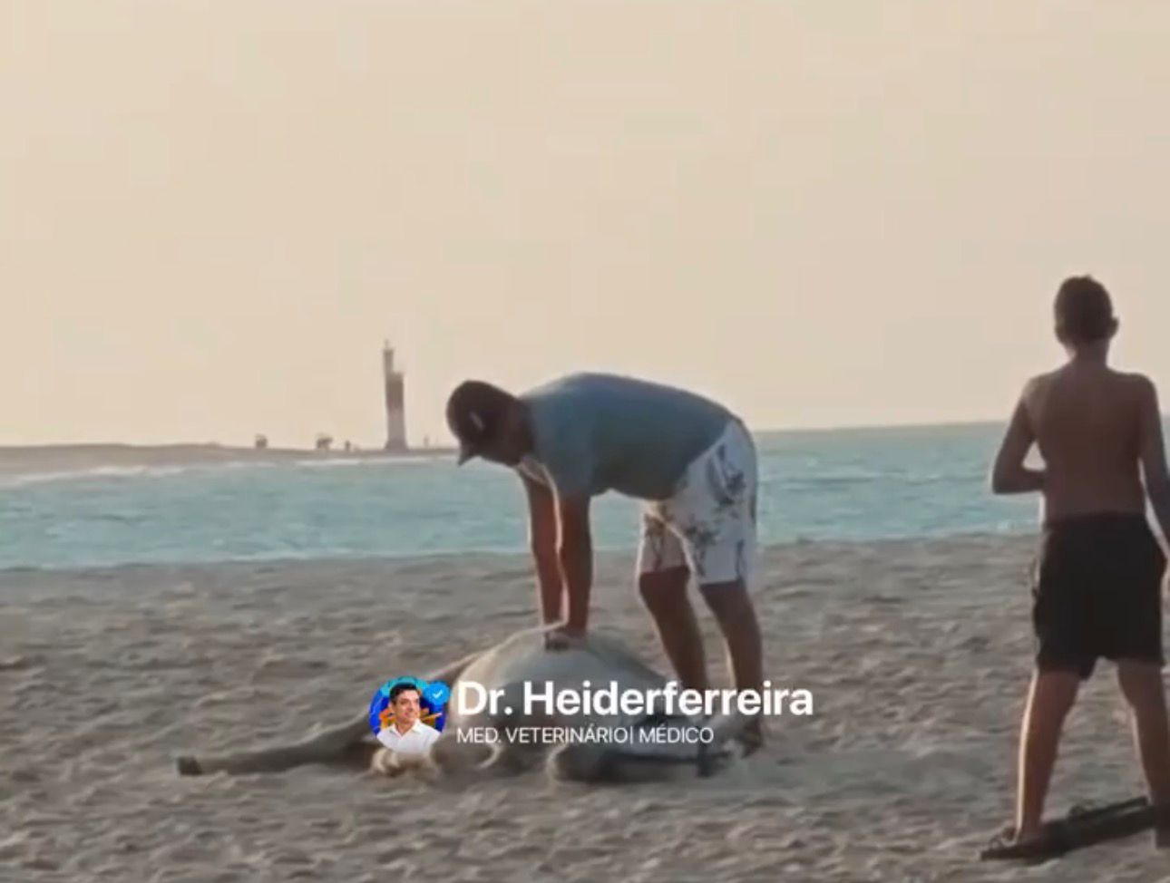Dr. Heider Irinaldo repudia uso de animais em charretes após caso de exaustão em praia do RN