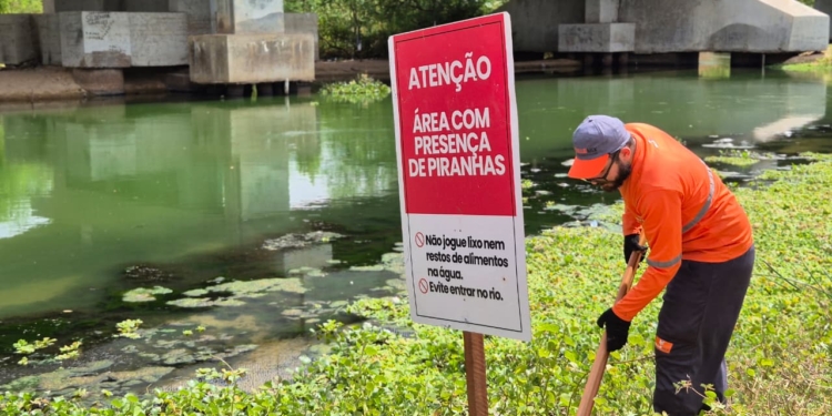 Risco de piranhas: placas de alerta são instaladas em trechos do Rio Açu