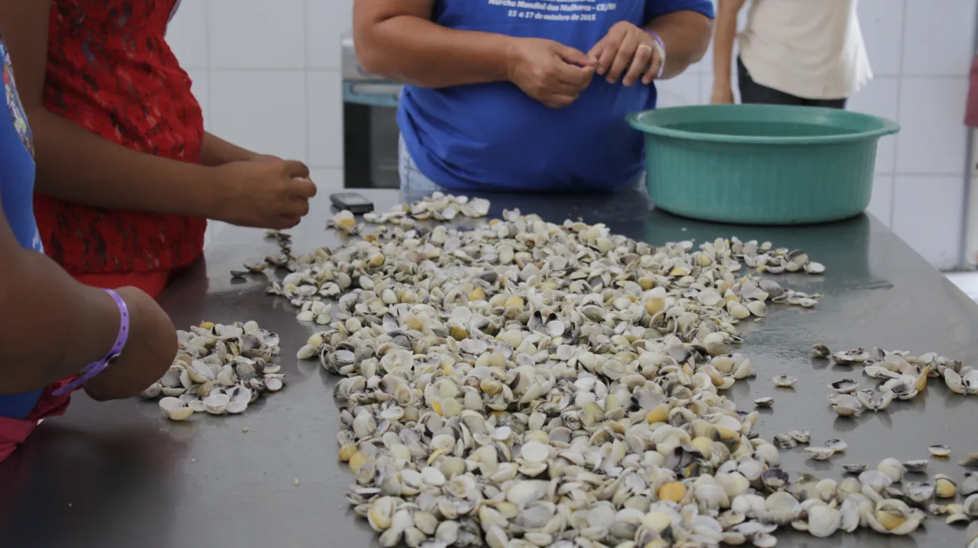 Associação de Pescadoras de Grossos fortalece mariscagem e a pesca artesanal