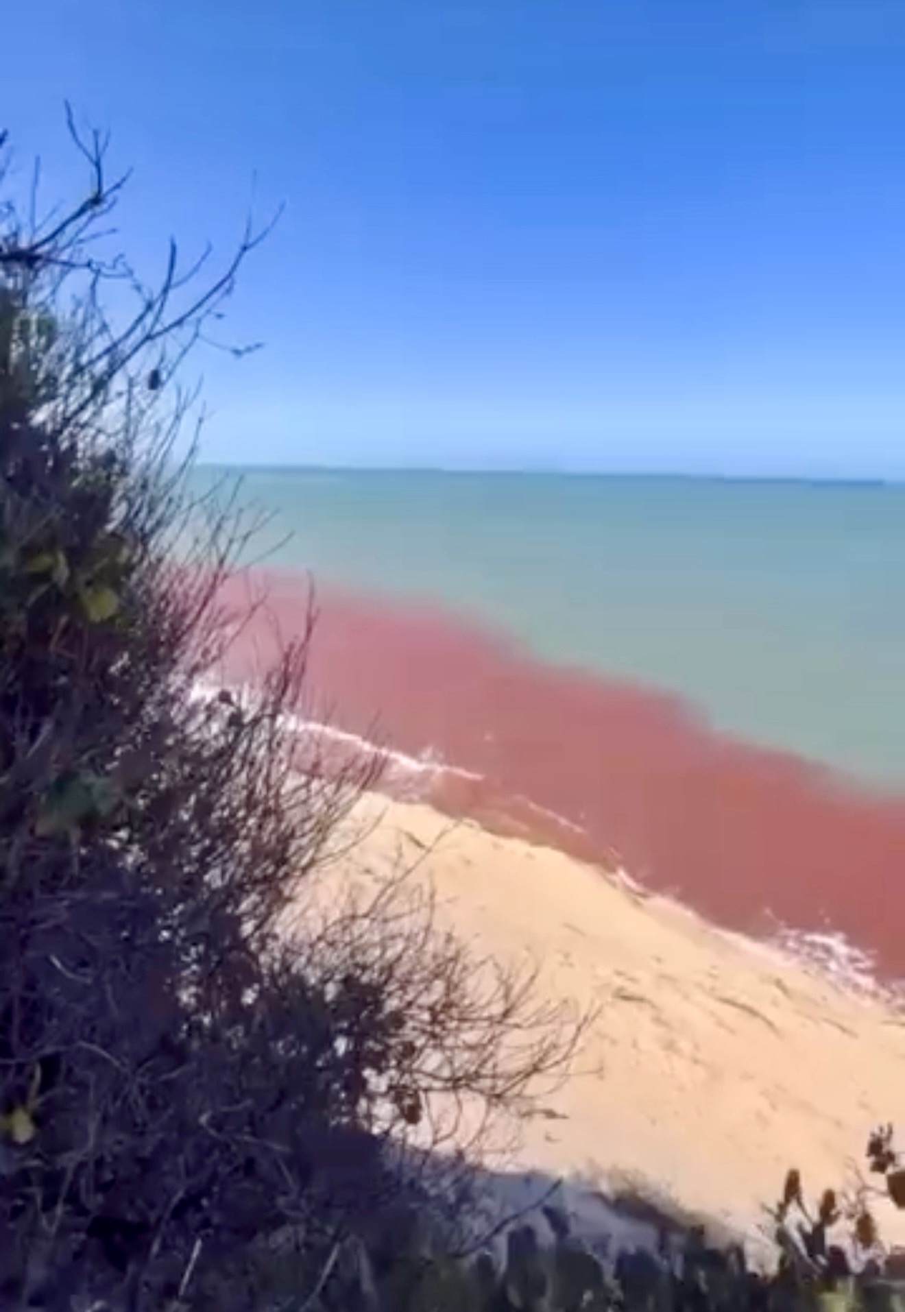 Água avermelhada em Pipa chama atenção; Idema vai investigar possível fenômeno